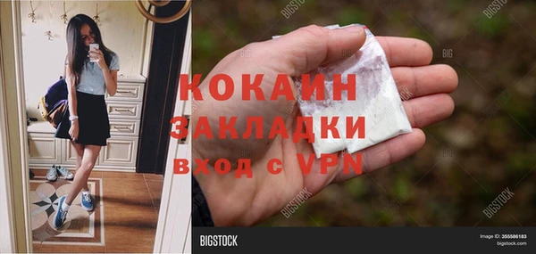 стаф Алексин