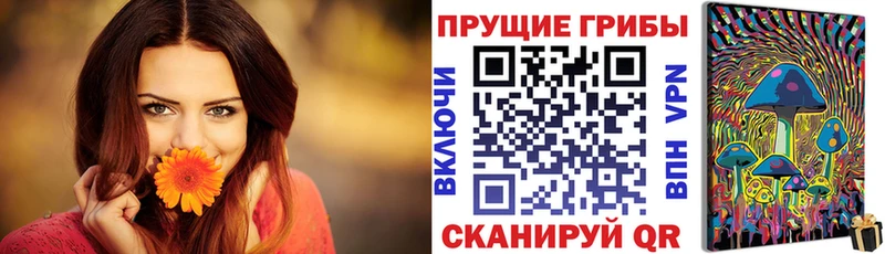 Галлюциногенные грибы MAGIC MUSHROOMS блэк спрут как зайти Усмань