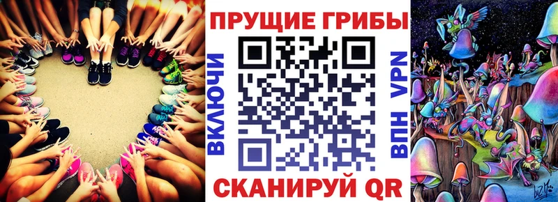 Псилоцибиновые грибы GOLDEN TEACHER Усмань